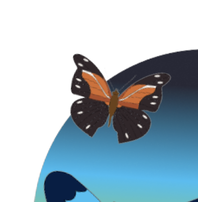 This is a small orange butterfly, one of my images to add to the eye motion graphics.